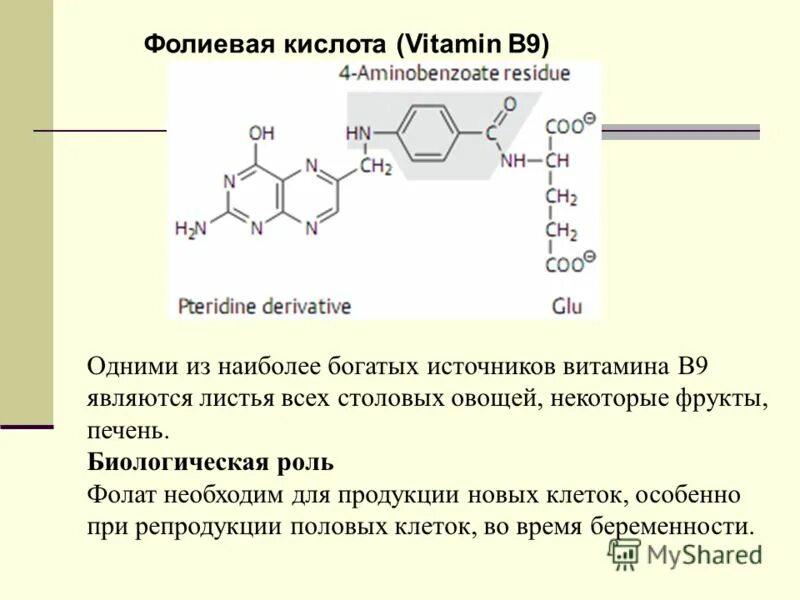 Количество фолиевой