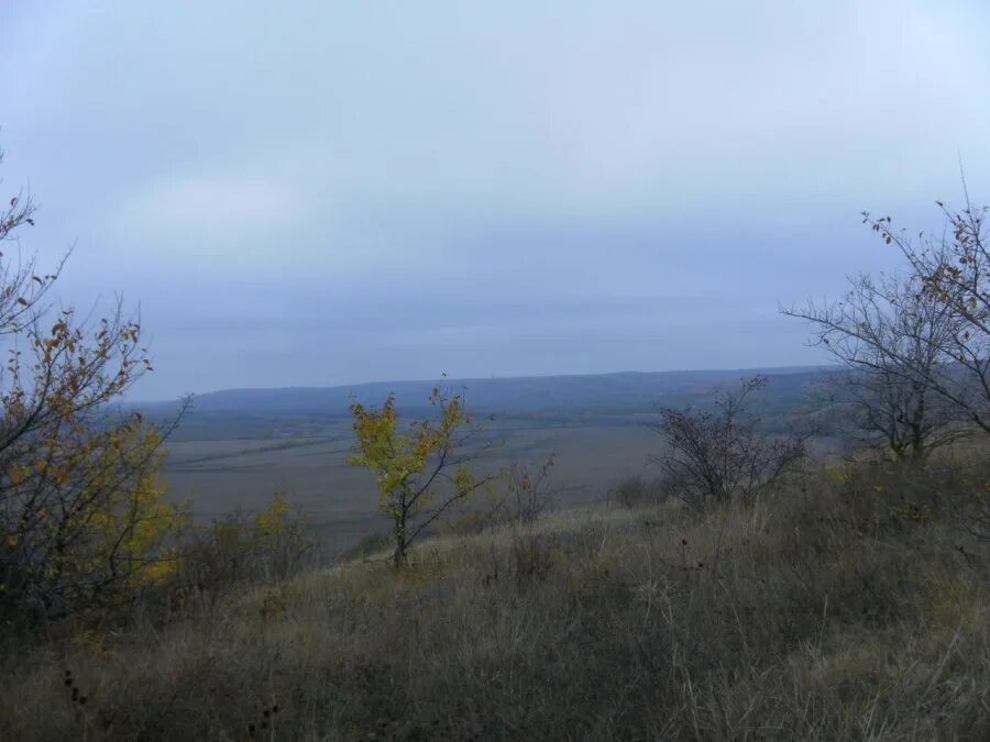 Погода крымский ростовской области. Х Крымский Усть-донецкого района. Х Крымский Ростовская область. Хутор Крымский Усть-донецкого района. Крымский Ростовская область Усть Донецкий район.