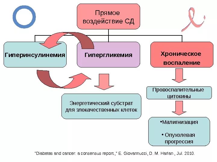 Эндокринопатия что это у взрослых. Эндокринопатия что это у взрослых