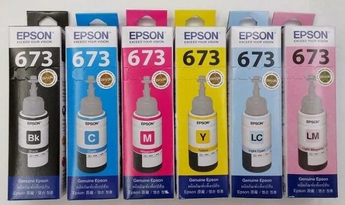 Epson t6731