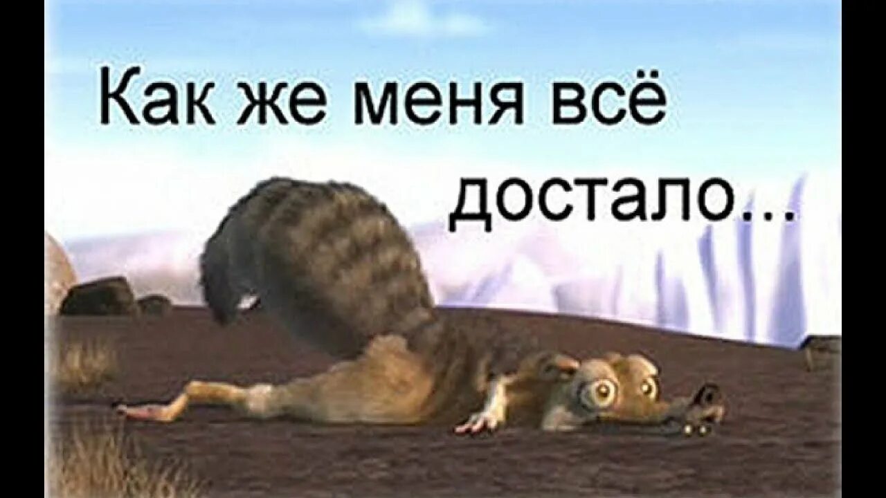 Следующую достала