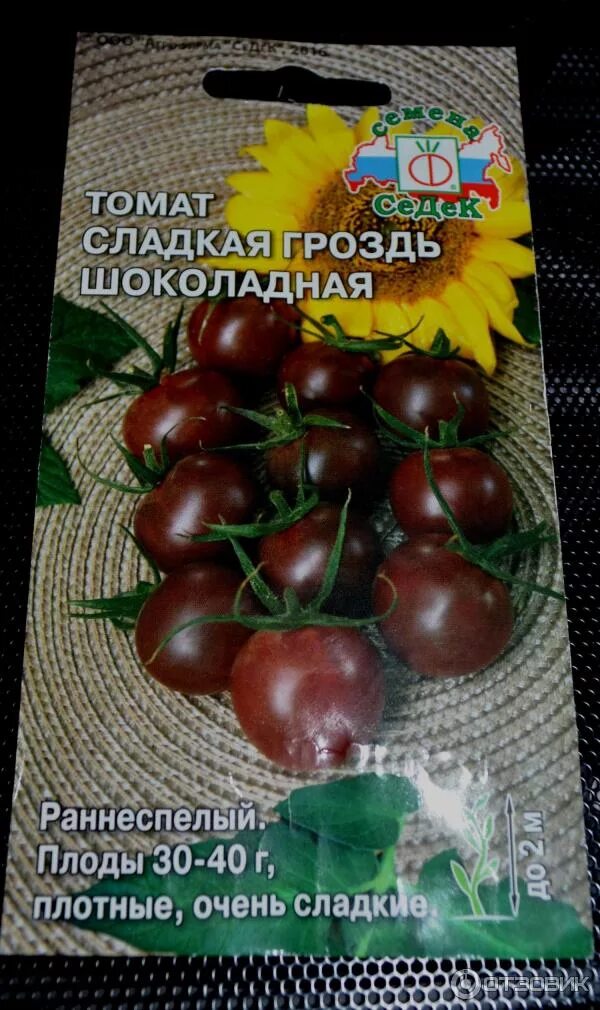 Помидоры шоколад отзывы фото. Томат черный сладкая гроздь. Семена "шоколадная гроздь" томат. Черри сладкая гроздь шоколадная. Томат шоколадный слон СЕДЕК.