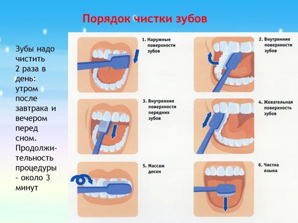 Техника обработки полости рта. Алгоритм правильно чистить зубы.
