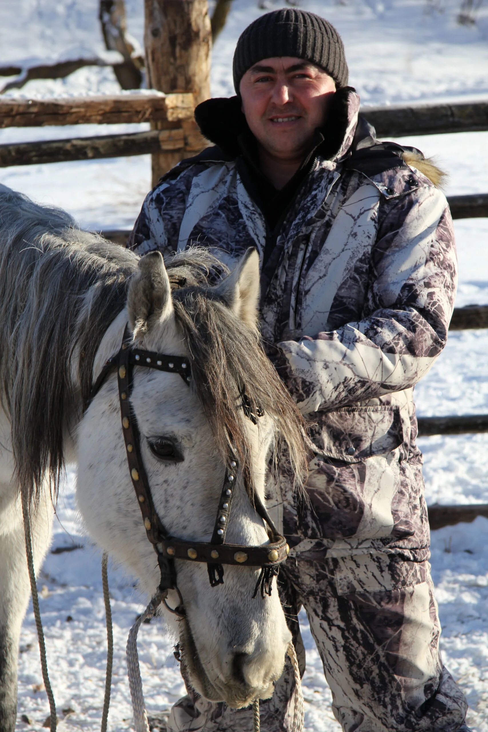 Купить коня алтайском. Лошади в Республике Алтай. Алтайская лошадь. Республика Алтай кони. Лошади в горах.