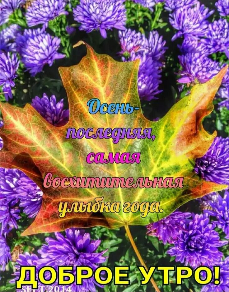Доброго утра благословенного дня открытки осенние