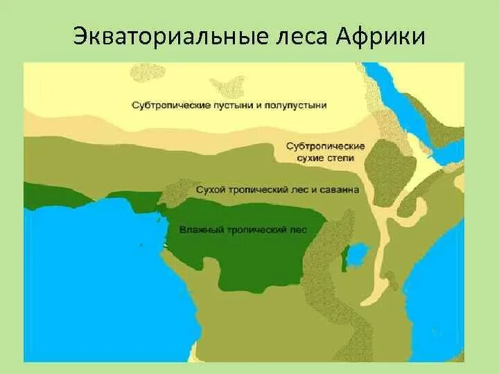 Природные зоны африки гилея. Координаты крайних точек африки. Нулевой меридиан в африке на физической карте. Положение африки относительно тропиков. Африка посередине пересекается экватором.