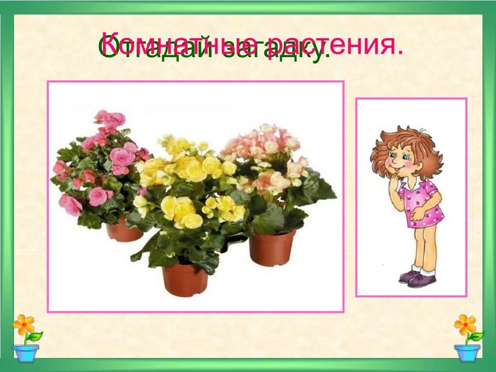 Проект растения 1 класс