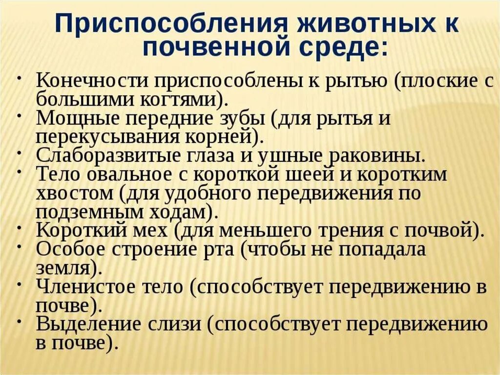 Особенности приспособления почвенной среды