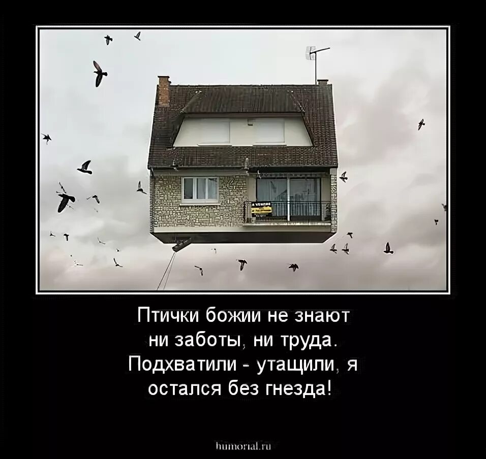 Пушкин стих птичка божия не знает. Стихотворение пушкина птичка божия не знает. Пушкин птичка божия не. Птичка божья не. Пушкин птичка божия стихотворение.