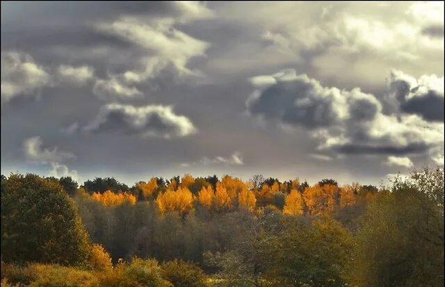 Серое небо осени. Серое осеннее небо. Осеннее темное небо. Темное небо осенью. Грозовое небо осенью.