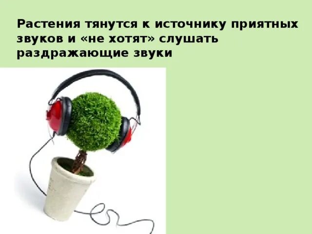 Раздражающие звуки слушать. Приятные звуки. Приятные звуки звуки. Источники приятных звуков. Приятные звуки какие ?.