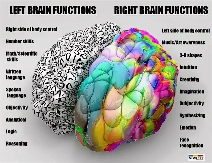 Leave the brain. Головной мозг плакат. Left and right Brain. Left Brain right Brain.