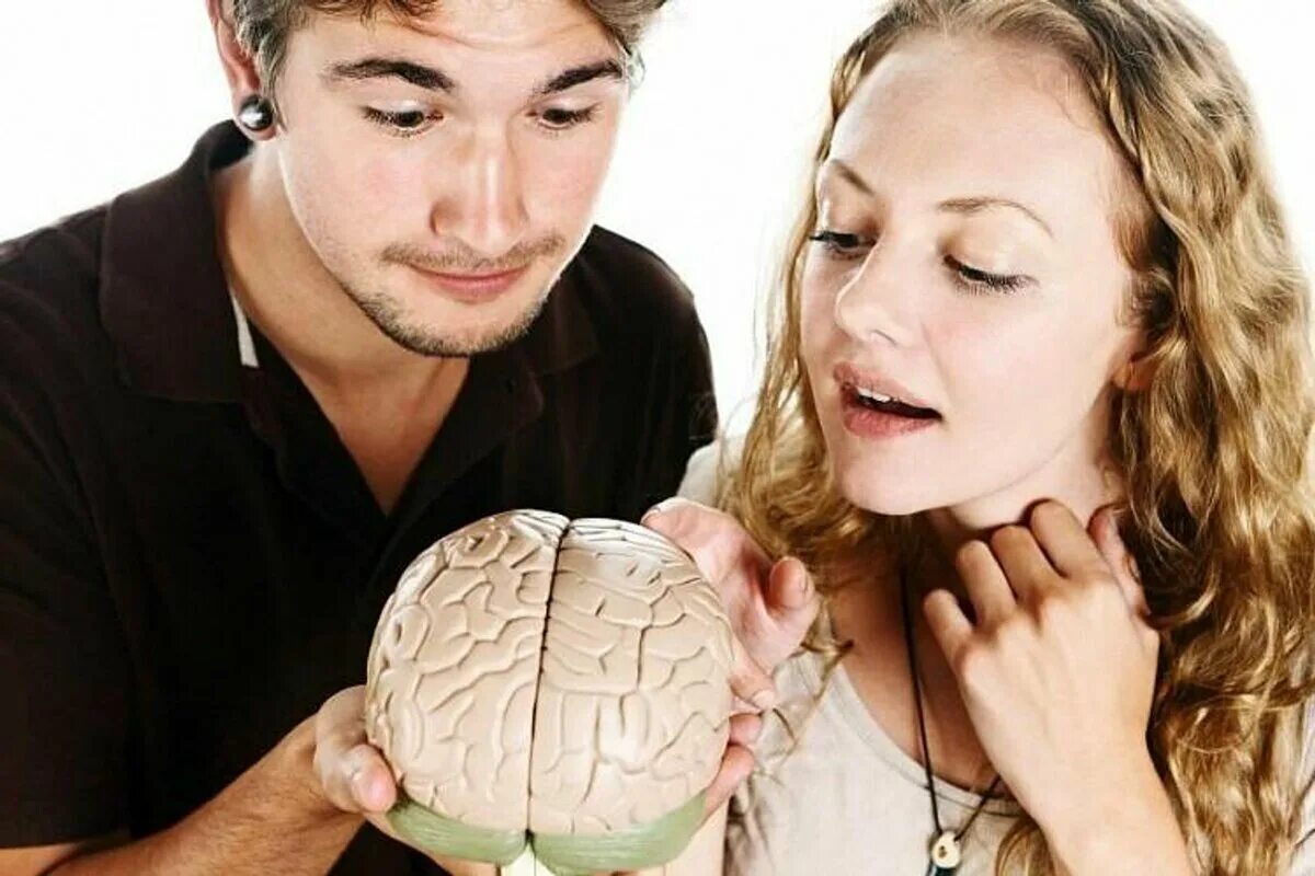 Психология свободного мужчины. Мужской мозг. Мужской и женский мозг. Мозг женщины. Мозг мужчины и женщины психология.