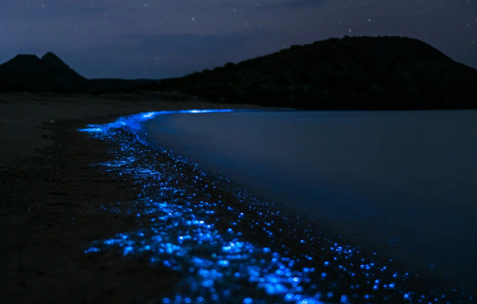 Водоросль ночесветка черное море. Glowing water. Салтинский подземный водопад. Водоросль ночесветка черное море. Остров ваадху мальдивы светящийся планктон.