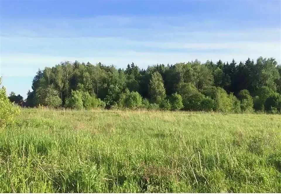 село стремилово чеховский округ. стремилово чехов. храм в стремилово чеховский район. село стремилово чеховского района. фото стремилово.