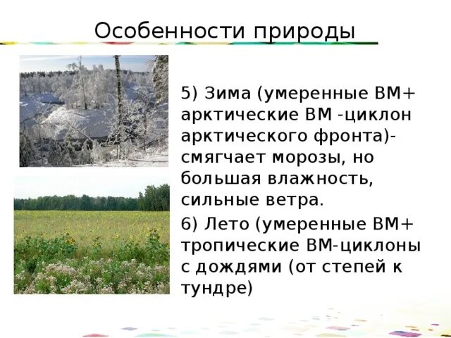 Особенность донецкого региона. Опасные природные явления в Западной Сибири. Природные особенности западной сибири