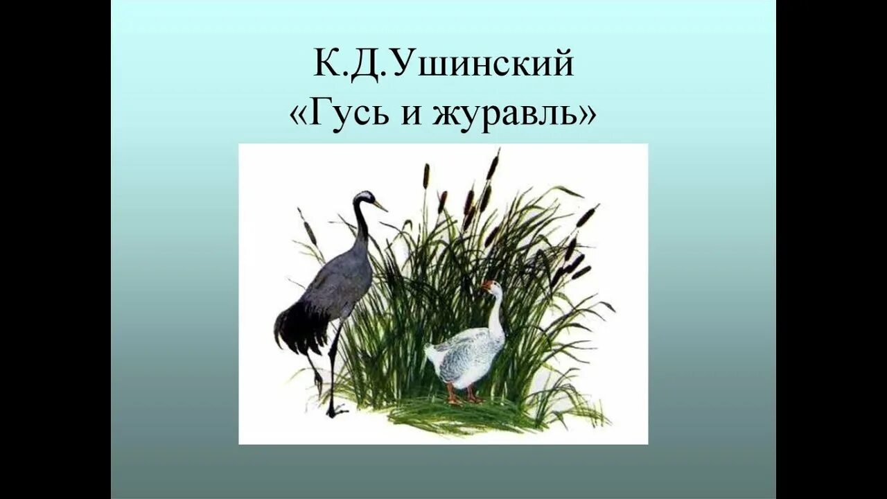 Произведение ушинского гуси. К. Ушинского "Гусь и журавль. Сказка Ушинского Гусь и журавль. Рассказ Гусь и журавль Ушинский.