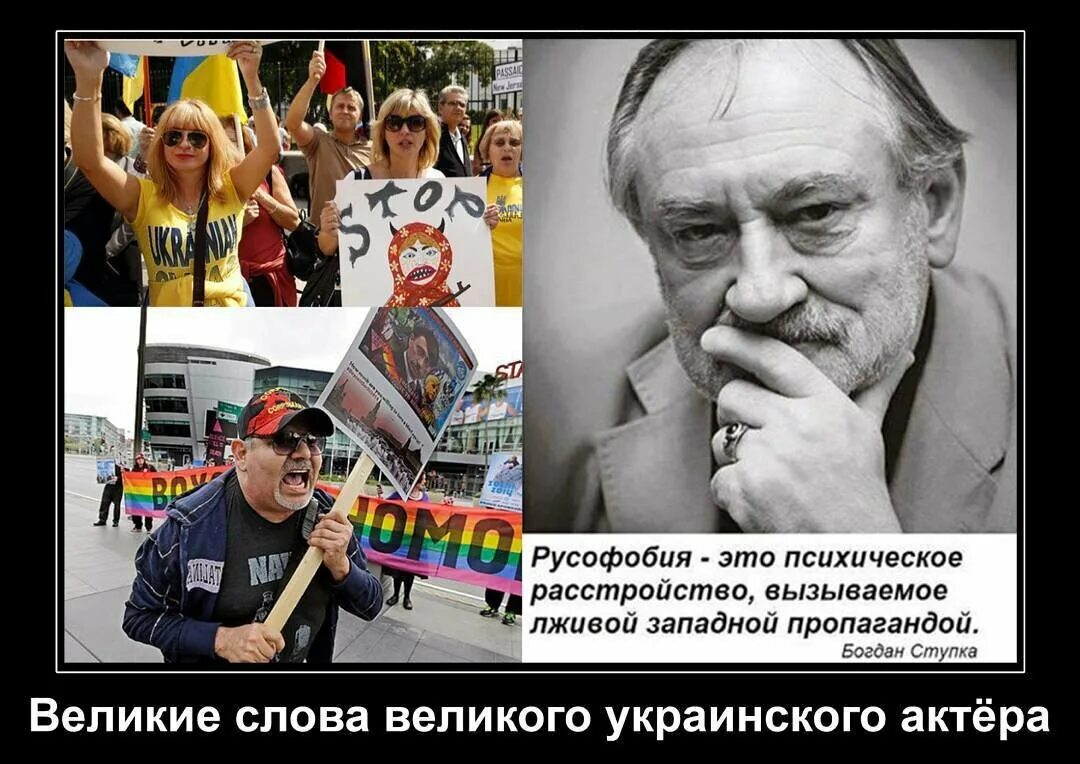 Русофил. Русофобия. Русофобские настроения. Самые ярые русофобы в мире. Русофил это википедия.