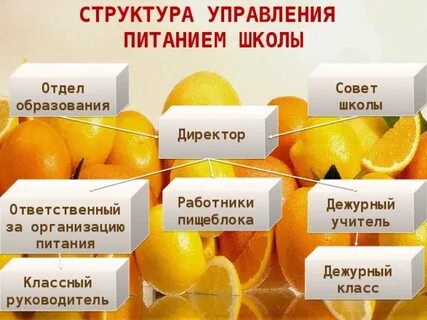 Ответственный по питанию