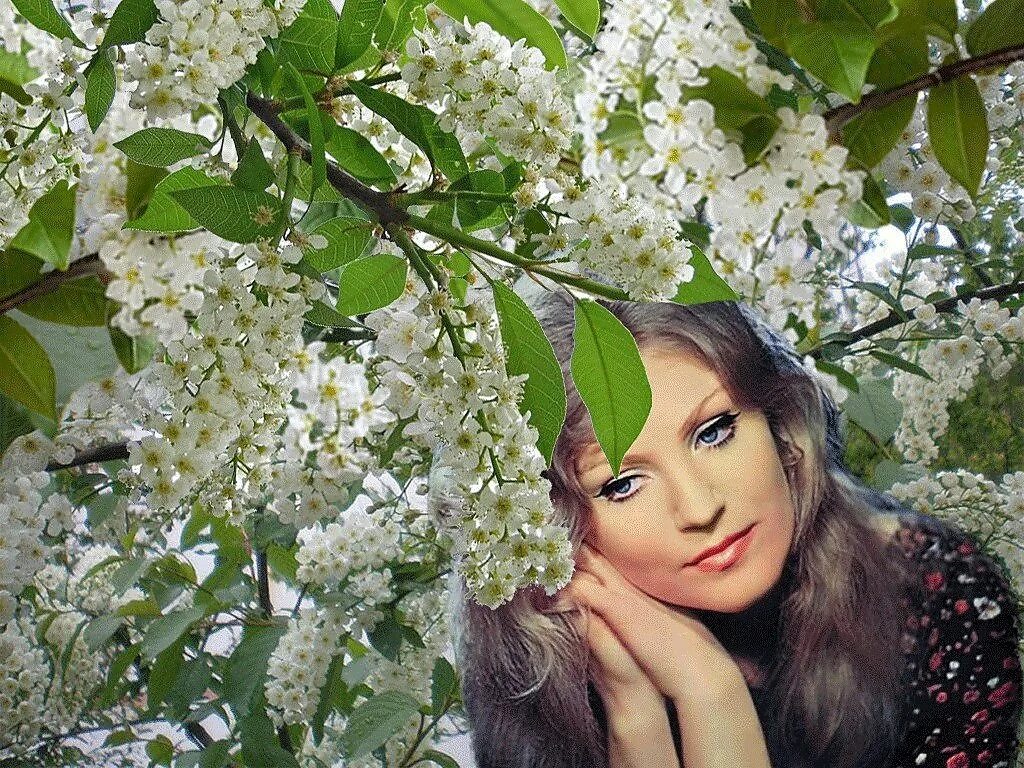 Исполнить песню цветы