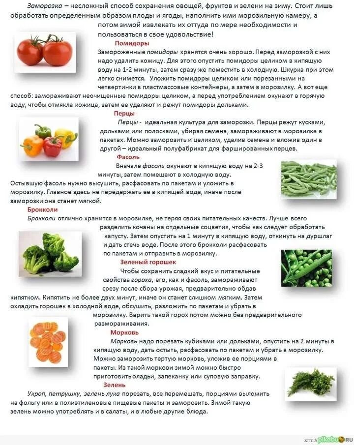 Овощи после обработки. Способы сохранения овощей. Какие фрукты и овощи можно. Фрукты и овощи которые долго хранятся. Как правильно хранить овощи и фрукты.