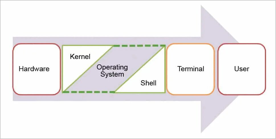 Kernel operation. Сценарии оболочки это. shell kernel hardware. kernel inside a shell. operation shell software.