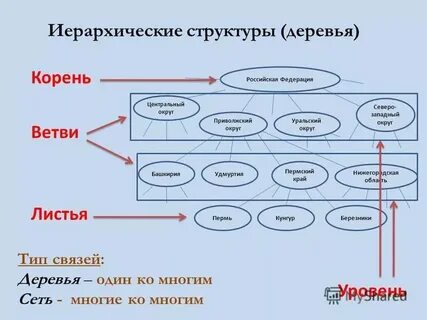 C дерево файлов