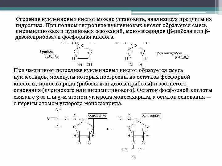 Продукты неполного гидролиза РНК. При гидролизе нуклеиновых кислот образуются. Схемы полного и неполного гидролиза нуклеиновых кислот. Продукты полного гидролиза нуклеиновых кислот. Кислотный гидролиз это