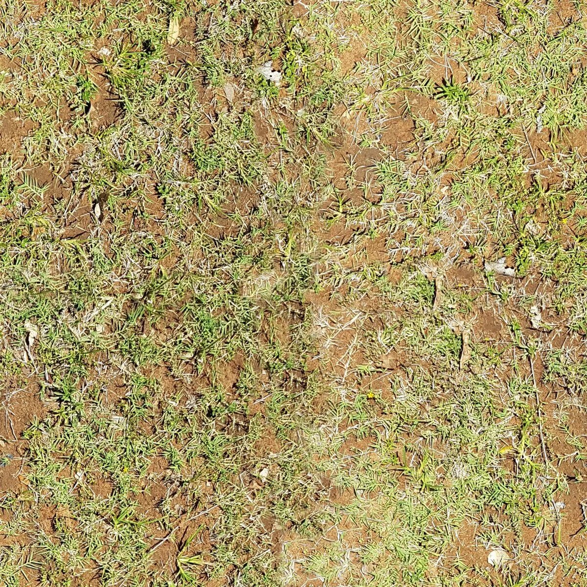 Глиняная штукатурка текстура. Texture 2k. Текстура травы бесшовная для 3d max. Глина фактура. Текстура камина бесшовная.