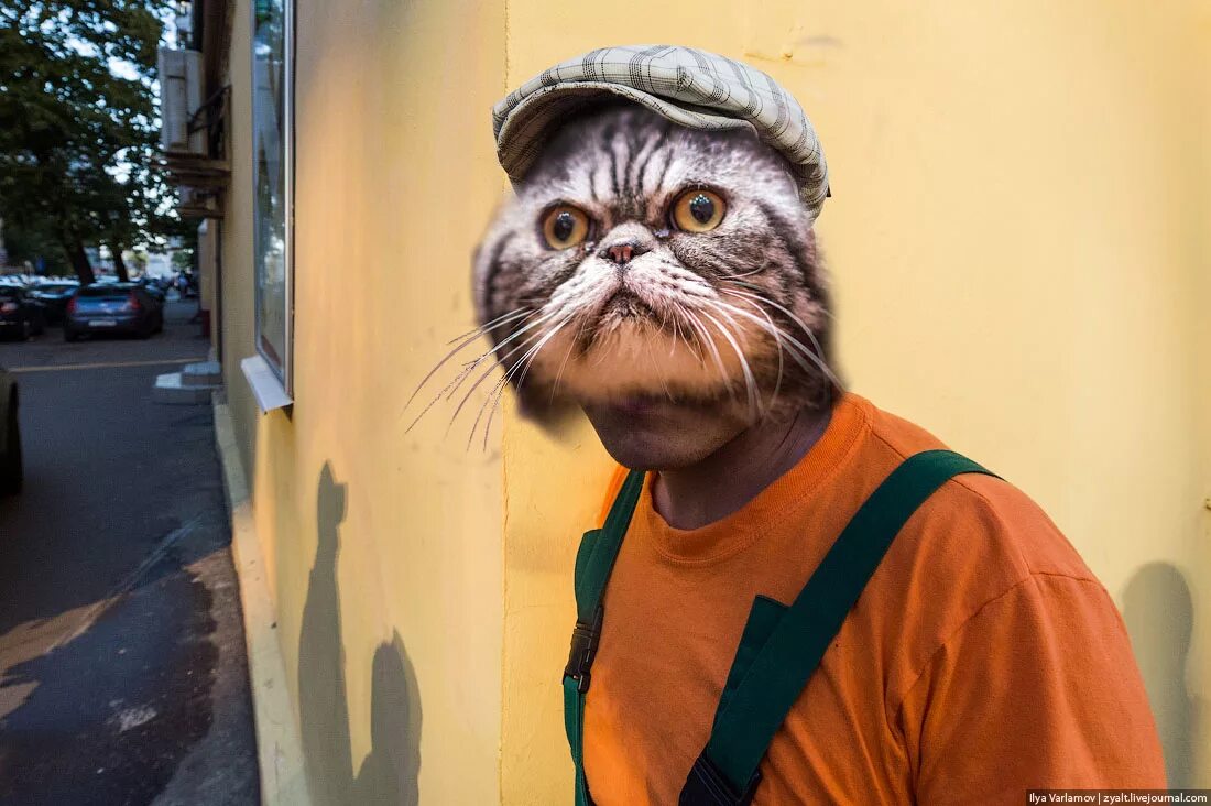 Кот гопота. Гопник на кортах. Кот в шапке. Крутой кот гопник. Включи рыжий кот на ютубе гопники.