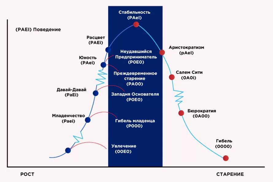 Результаты теста адизеса. Модель Адизеса paei. Стили менеджмента по Адизесу paei. Ицхак Адизес модель paei. Типология Адизеса paei.