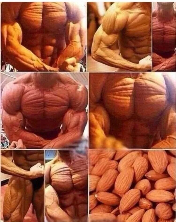 Высохший мем