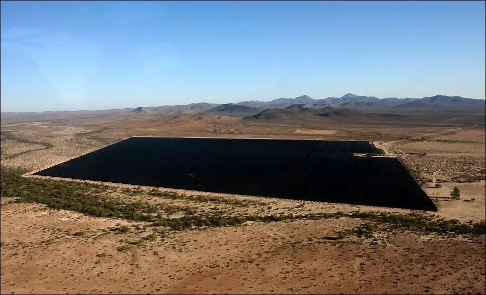 Гевея плантации австралии. Плантация конопляная. Плантации каннабиса в америке. Самая большая плантация. Поле конопли в мексике.