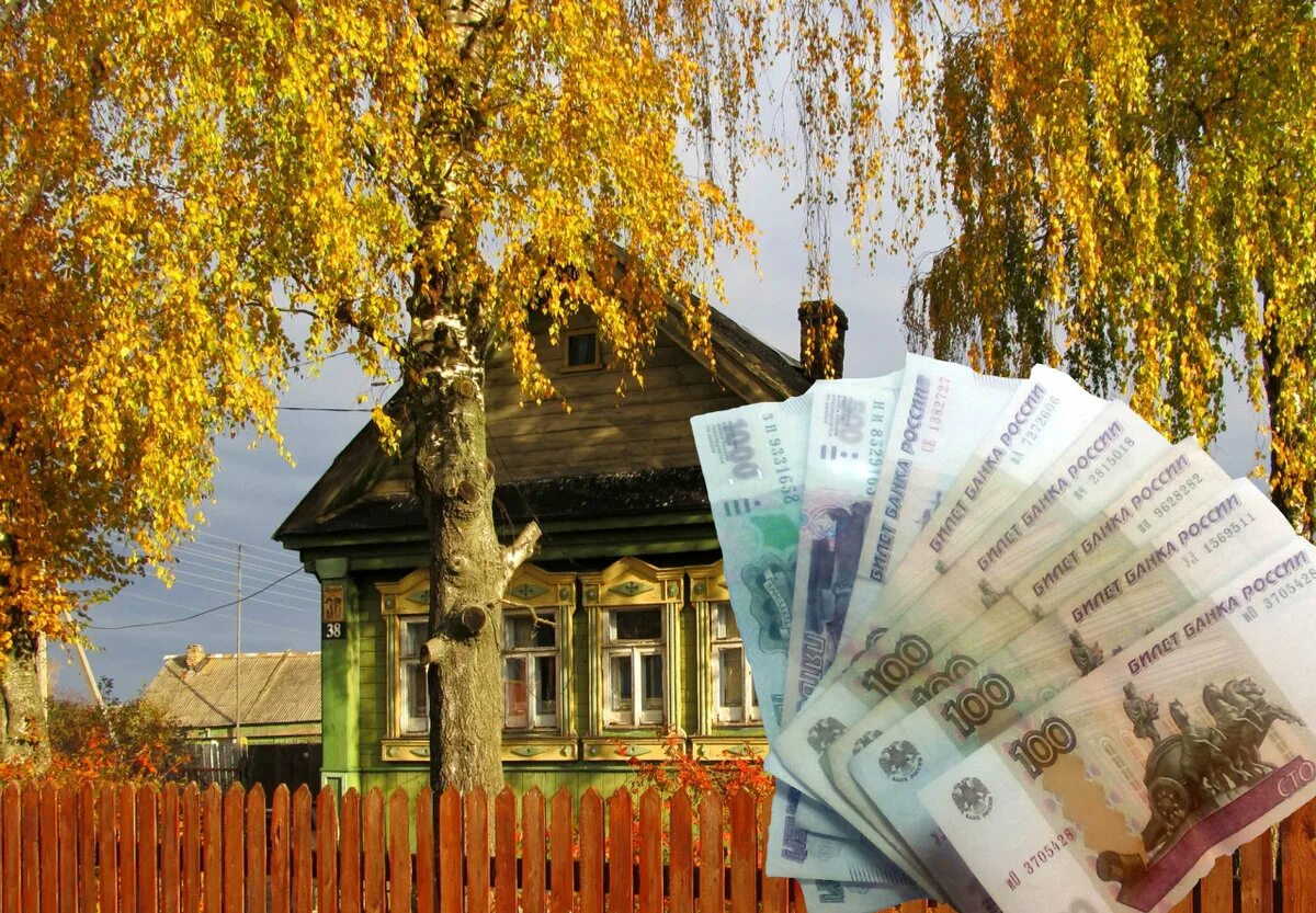 Как можно зарабатывать в деревне. Необычный бизнес в деревне. деньги в деревне. заработок в деревне. бизнес идеи на селе.