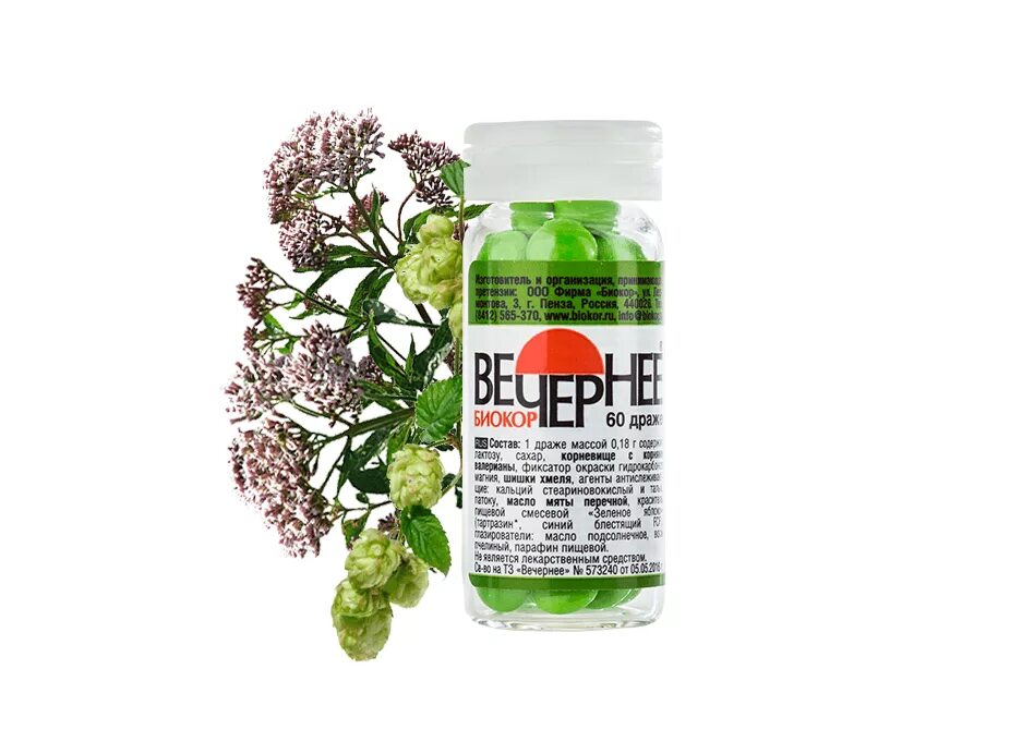 Валериана хмель мята. Валериана хмель мята. Вечернее биокор драже валериана+хмель+мята. Валериана хмель мята биокор. Валериана хмель мята.