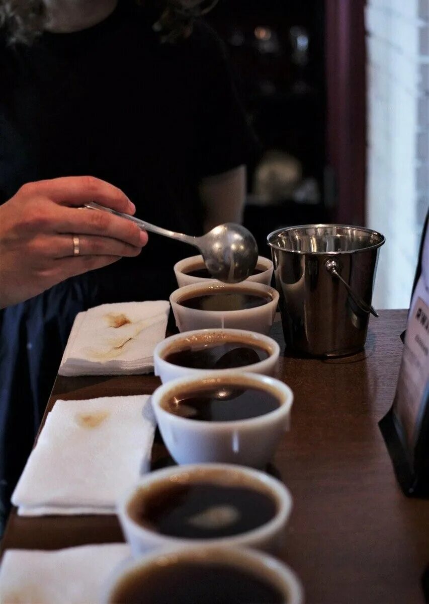 Кофейный каппинг. Дегустатор кофе. Дегустация кофе. Дегустация кофе. Дегустатор кофе.