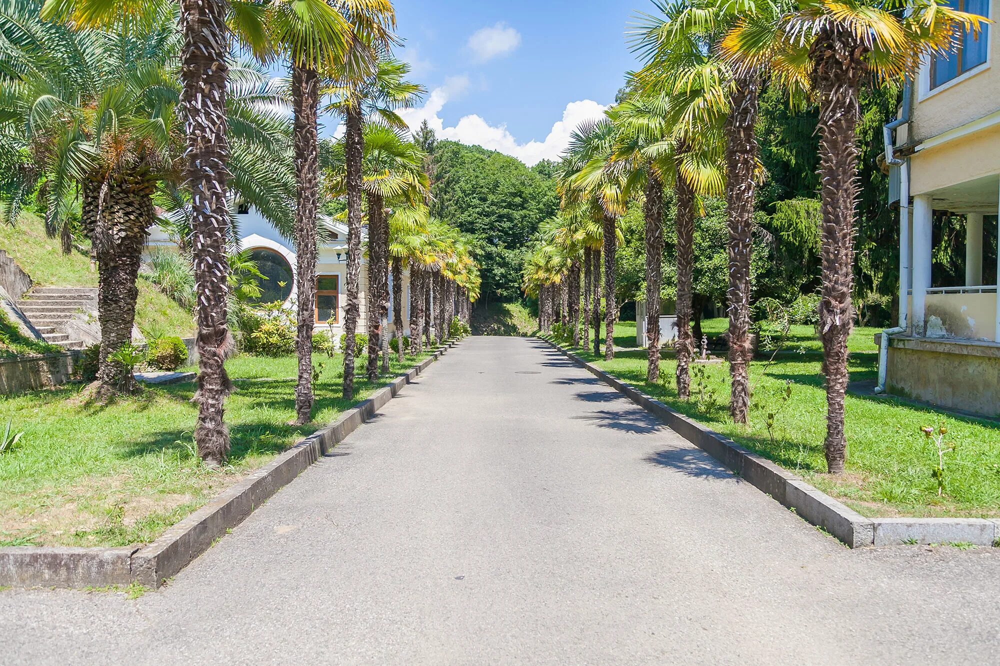 Пицундо-мюссерский заповедник на карте. Пицунда мюссерский заповедник. Пицунда озеро рица. Пицундский заповедник абхазия. Пицунда мюссера заповедник.