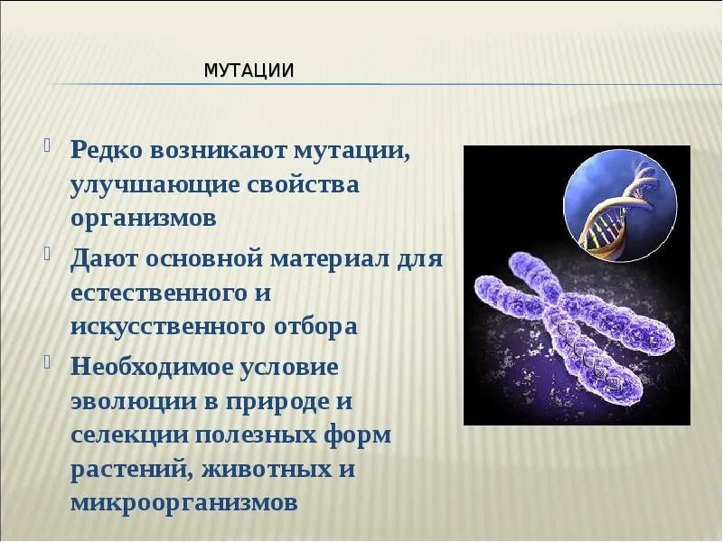 Мутационный процесс результат. Мутационный процесс примеры в биологии. Мутационный процесс это в биологии. Мутации бактерий. Роль мутаций в эволюции.