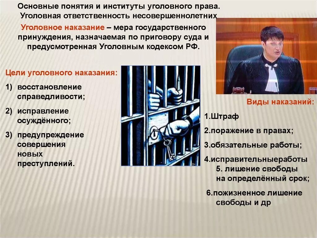 Институт угололовного право. Институт уголовного наказания отрасль