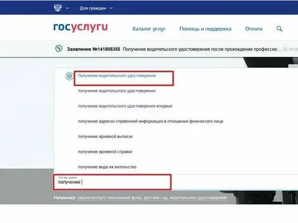 Фиас через госуслуги