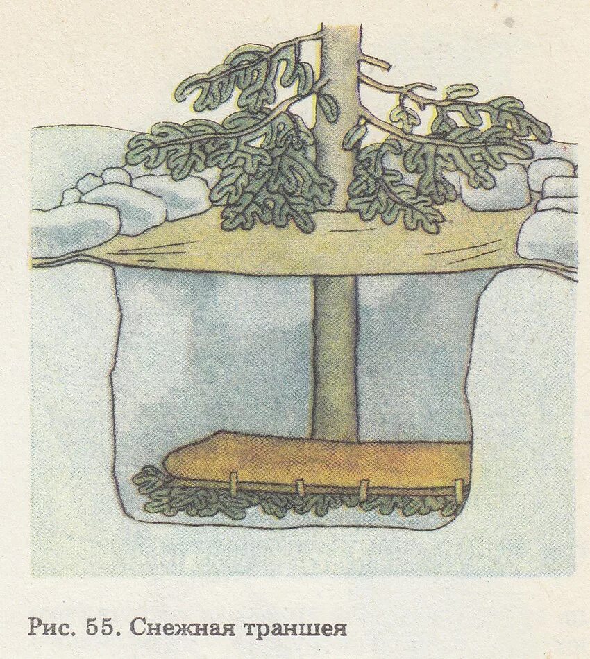 скрадок для весенней охоты. траншеи укрытие. траншейное укрытие винограда. снежная пещера и траншея укрытие. окоп блиндаж.