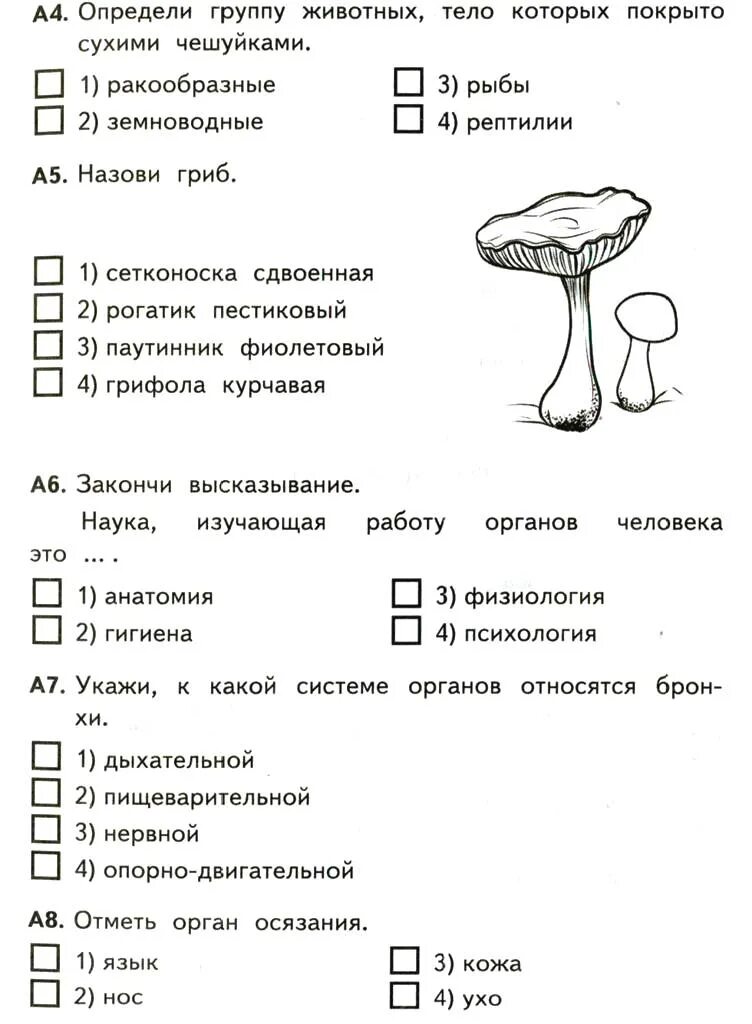 Окр мир 4 класс школа россии тест