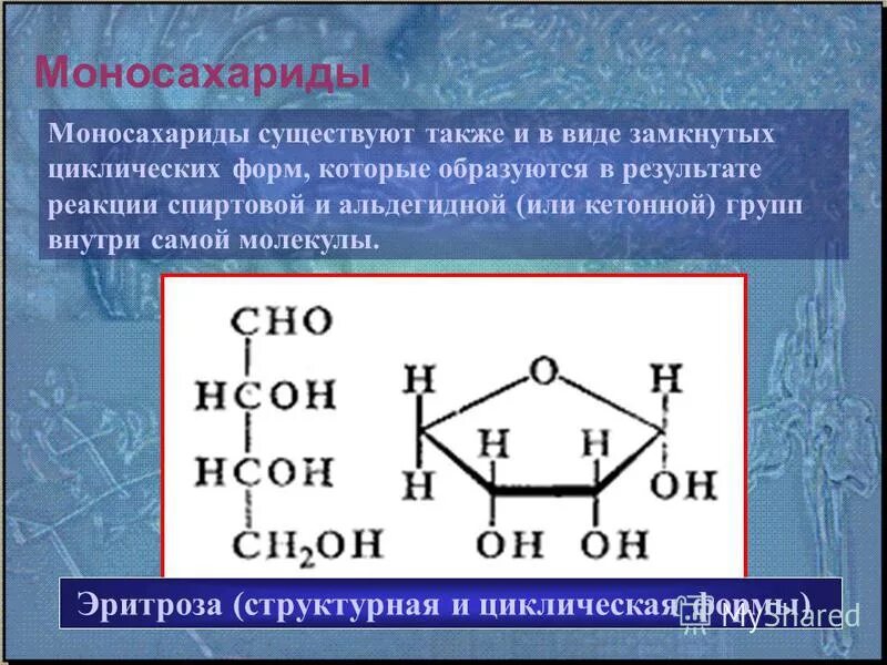 Тест по теме органические соединения. Эритроза. Открытые и циклические формы моносахаридов. Эритроза структурная формула. Циклическая эритроза.