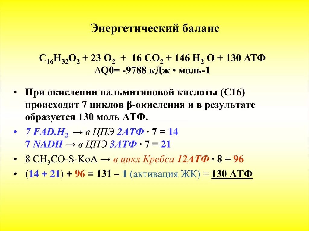 Энергетический баланс. Энергетический баланс пальмитиновой кислоты. Энергетический баланс окисления пальмитиновой кислоты. АТФ сколько при окислении.