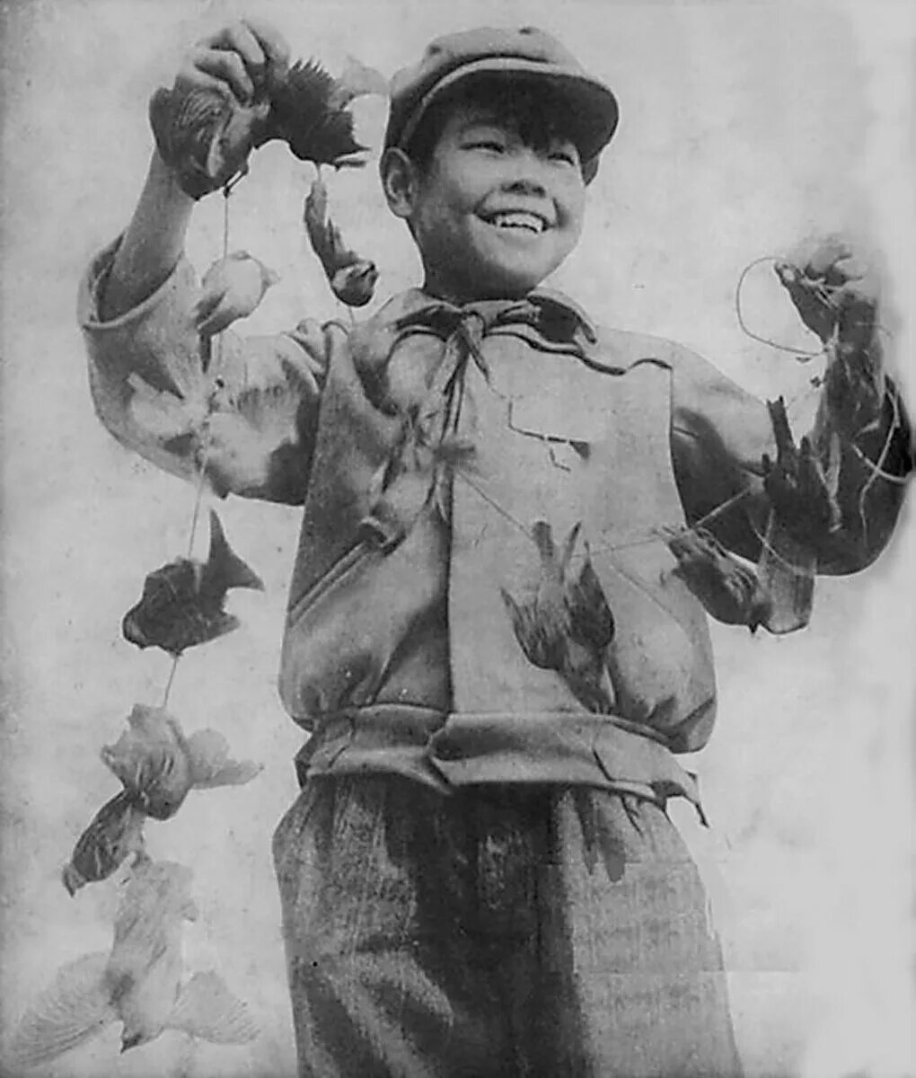 Китай истребление Воробьев 1958. Уничтожение воробьёв в Китае 1958. Мао Цзэдун уничтожение Воробьев.