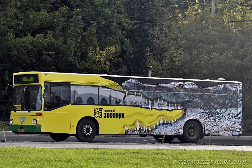 Реклама на транспорте. Креативные автобусы. Реклама на автобусах. Рекламный автобус. Автобус 17к пермь