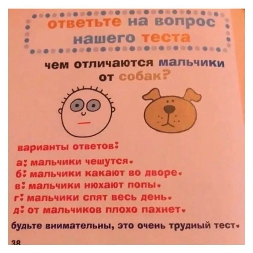 Тесты баллы смешные. Тест на беременность простой. Очень плохие тесты. Тест утром и вечером. Тест полоска еле видна.