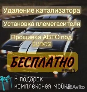 Чип ярославль