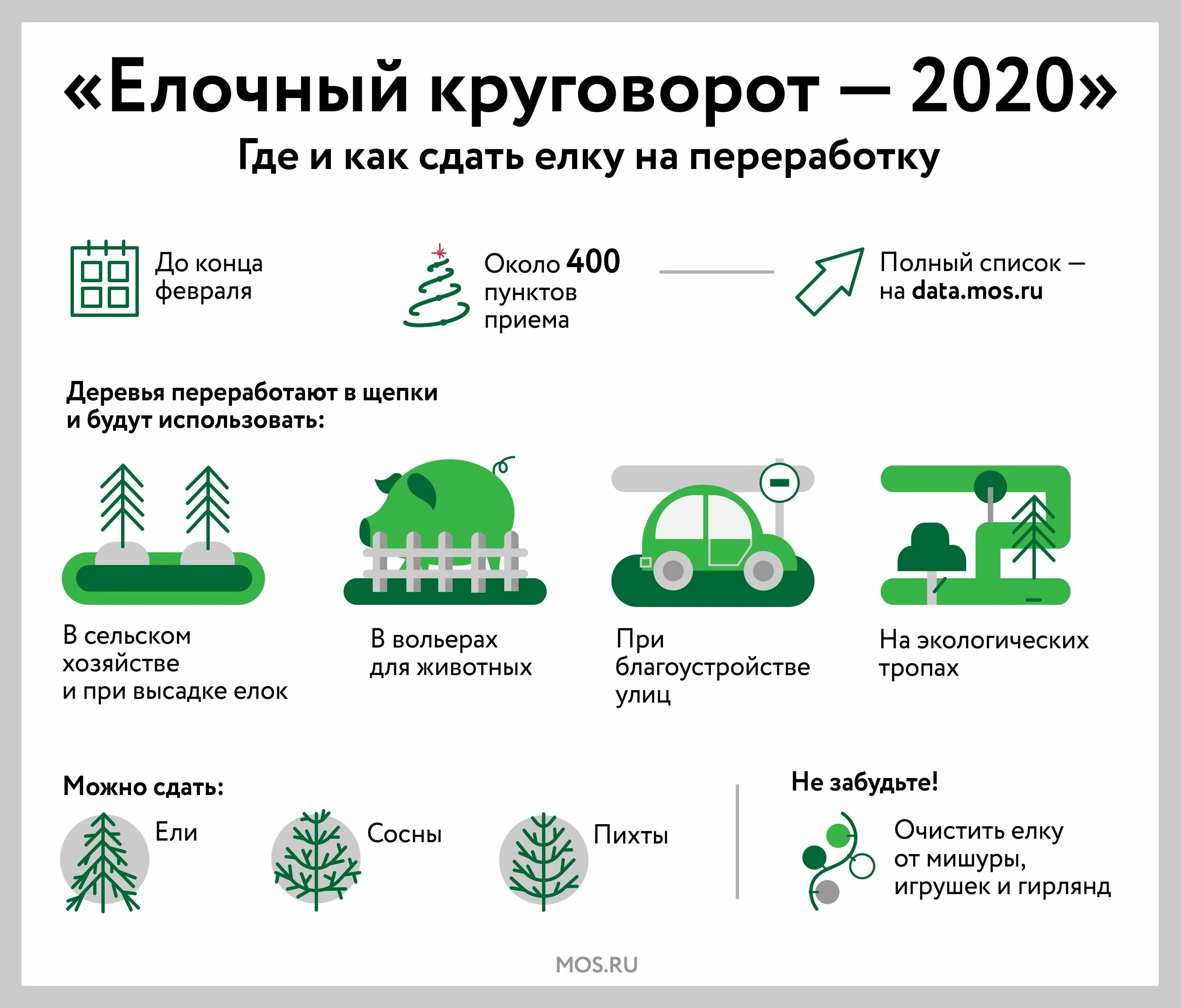Елковорот. Пункт приема елок. Пункт сбора елок в москве. Елки после нг. Куда сдать елку 2024.