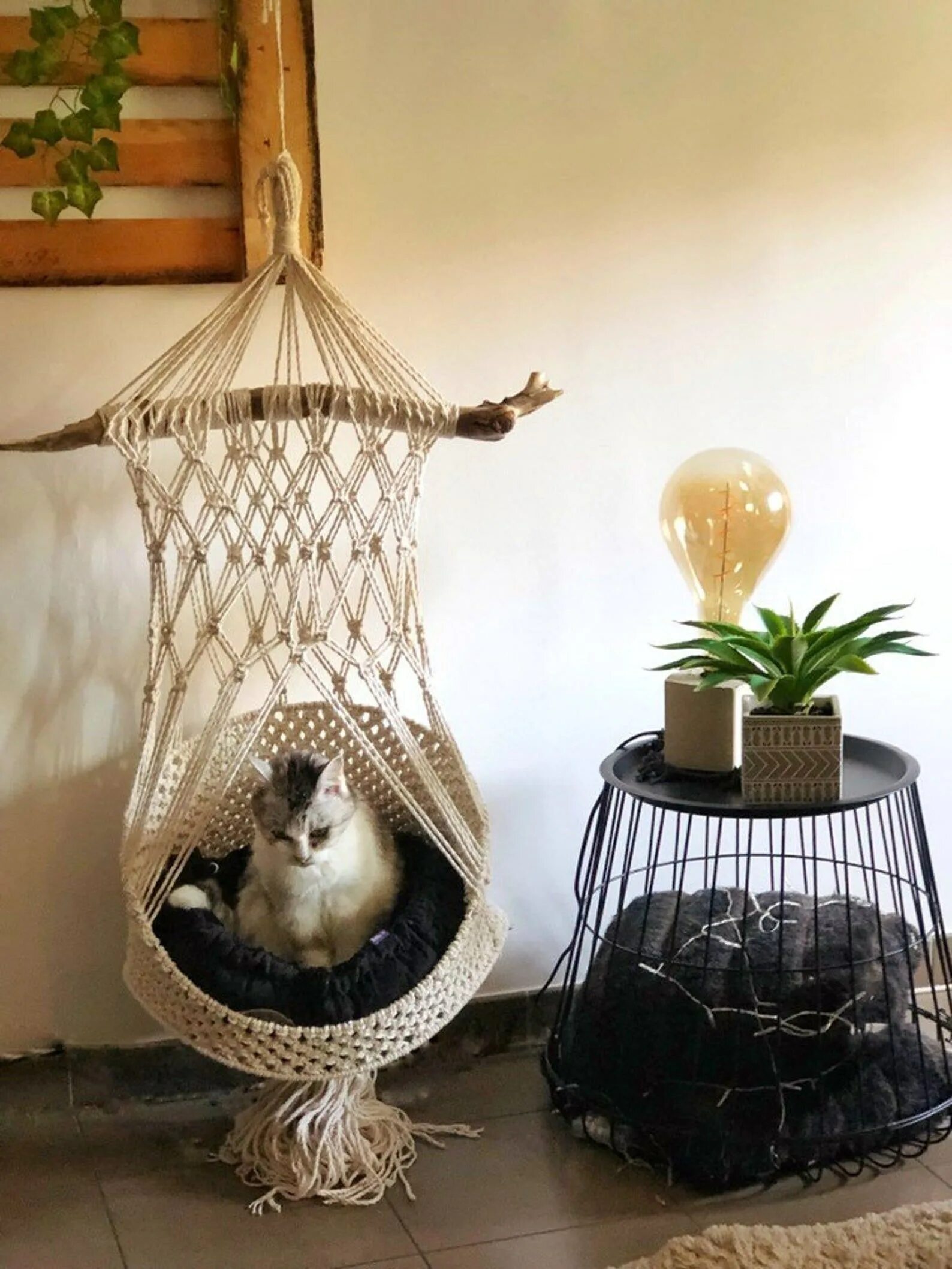 Макраме кот. Гамак для кошек. домик для кота макраме. гамак макраме. гамак для кошки макраме.